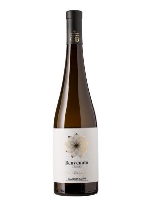 Benvenuto Zibibbo