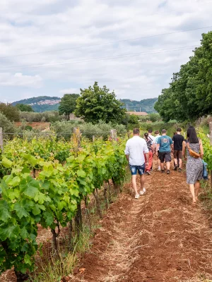 Degustazione in Cantina